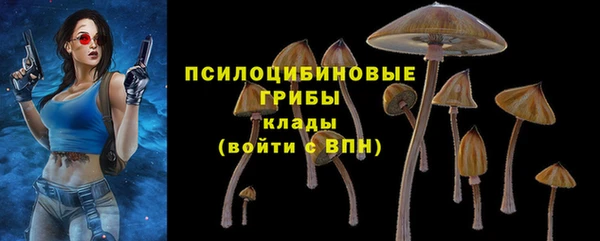 соль курить ск Алексин