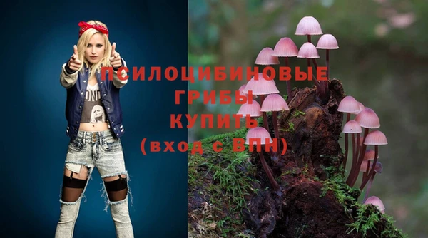 соль курить ск Алексин